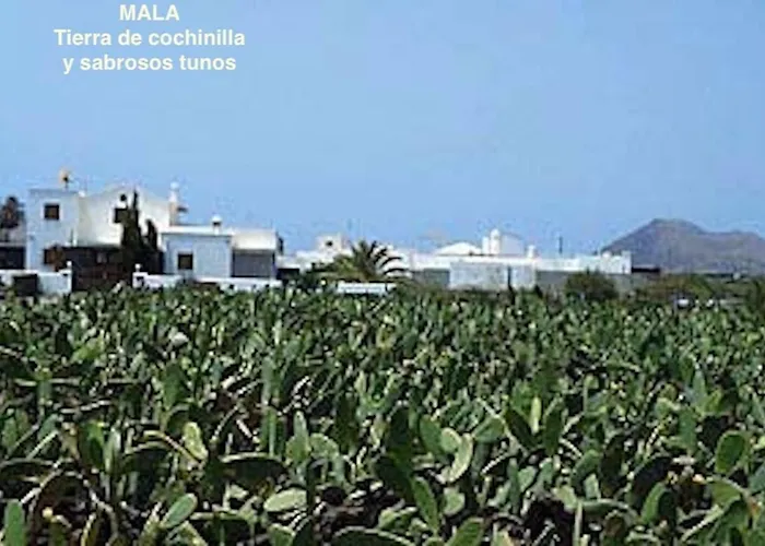 Apartamento Casa Gara Mala-lanzarote Norte
